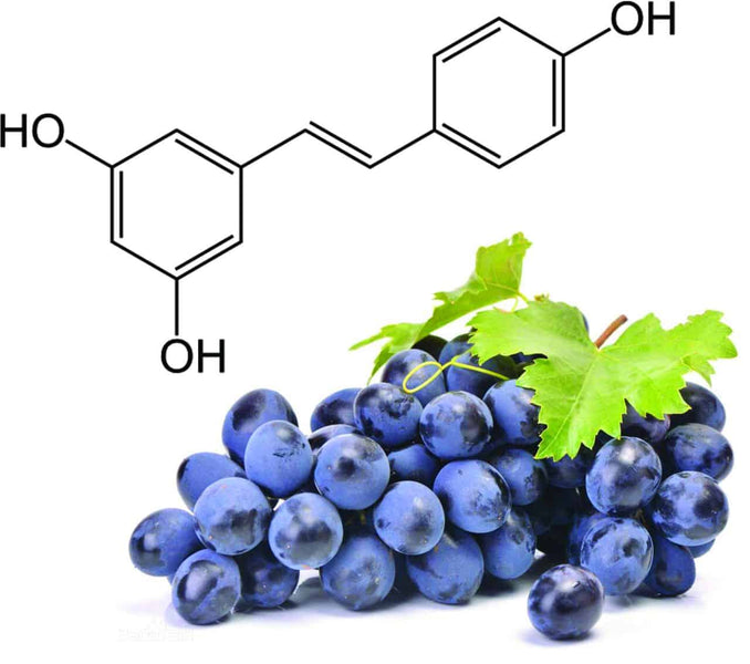 8 Benefits of Resveratrol – Our Favorite Antioxidant!